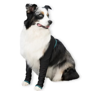 Canine Comfort & Care Sleeves (Front)
