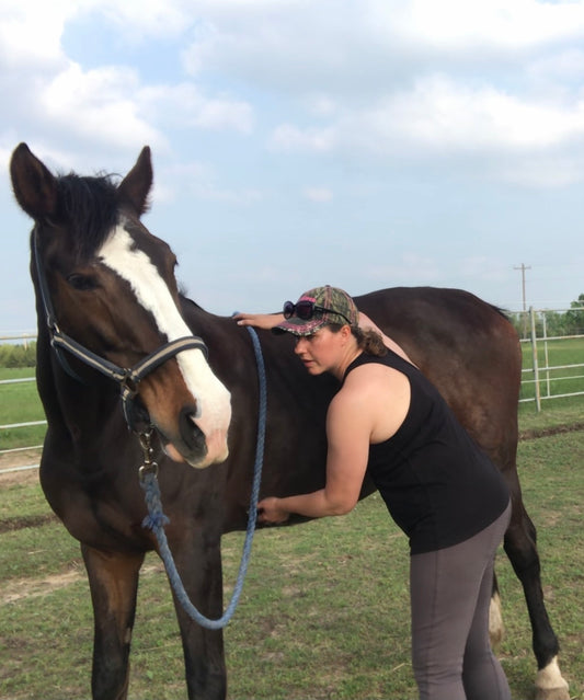 Equine Rehabilitation