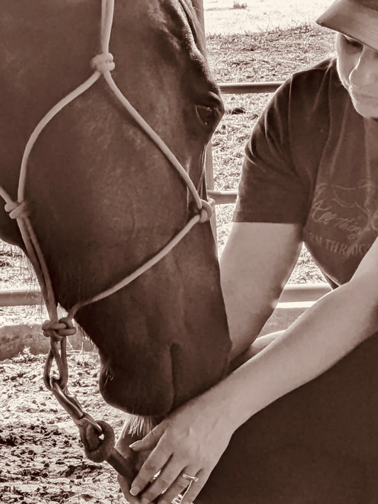 Equine Functional Posture & Movement Training